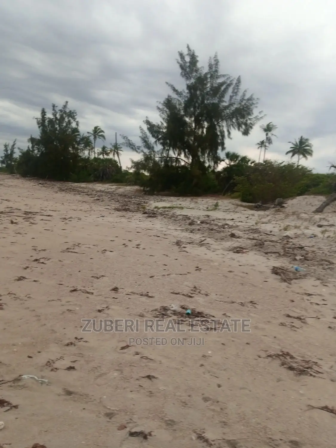Beach Plot for Sale Mkwaja. in Mkwaja