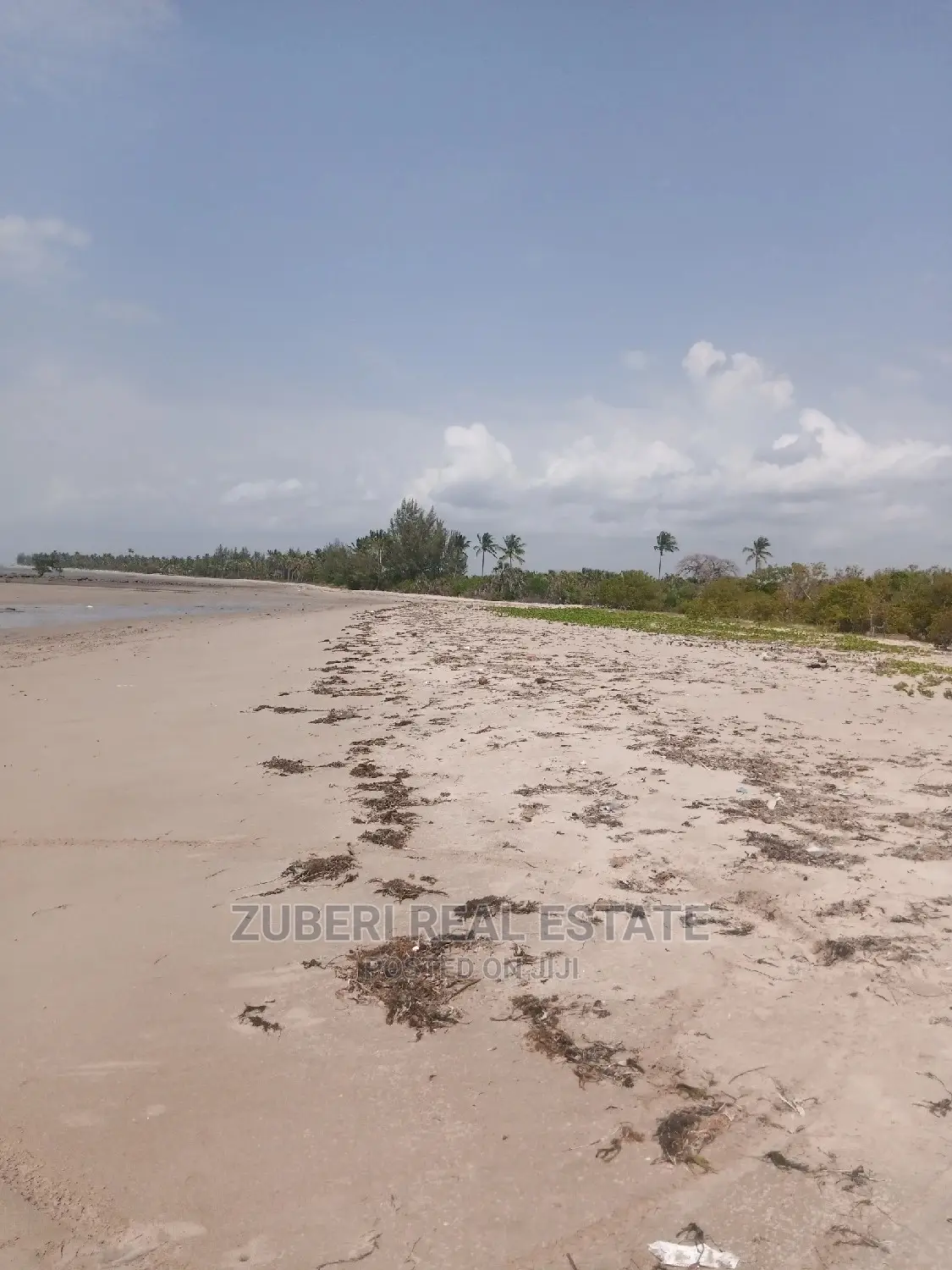Mkwaja Beach Plot for Sale. in Mkwaja