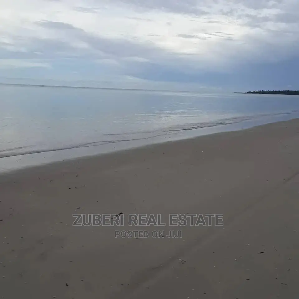 Mkwaja Beach Plot for Sale. in Mkwaja