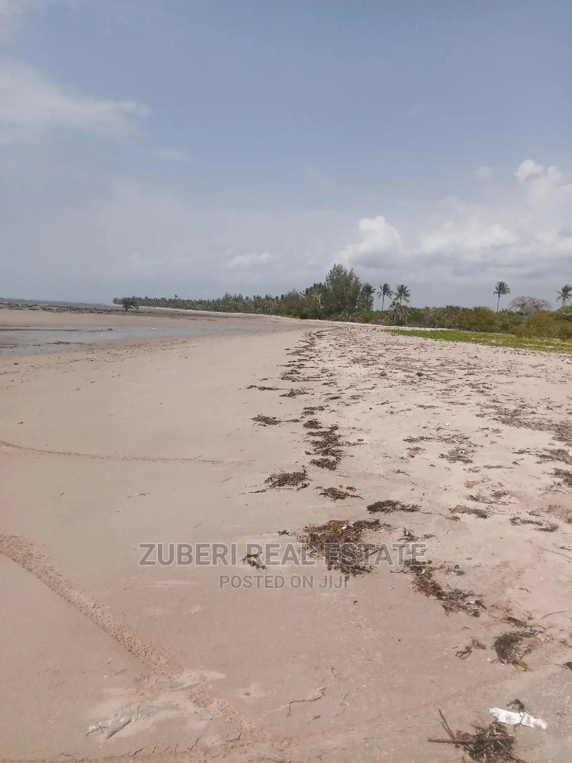 Mkwaja Beach Plot for Sale. in Mkwaja