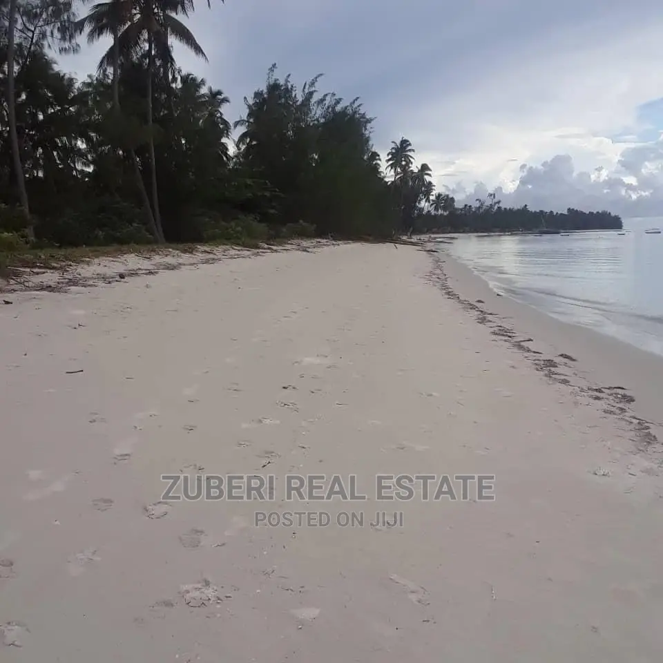 Mkwaja Beach Plot for Sale. in Mkwaja