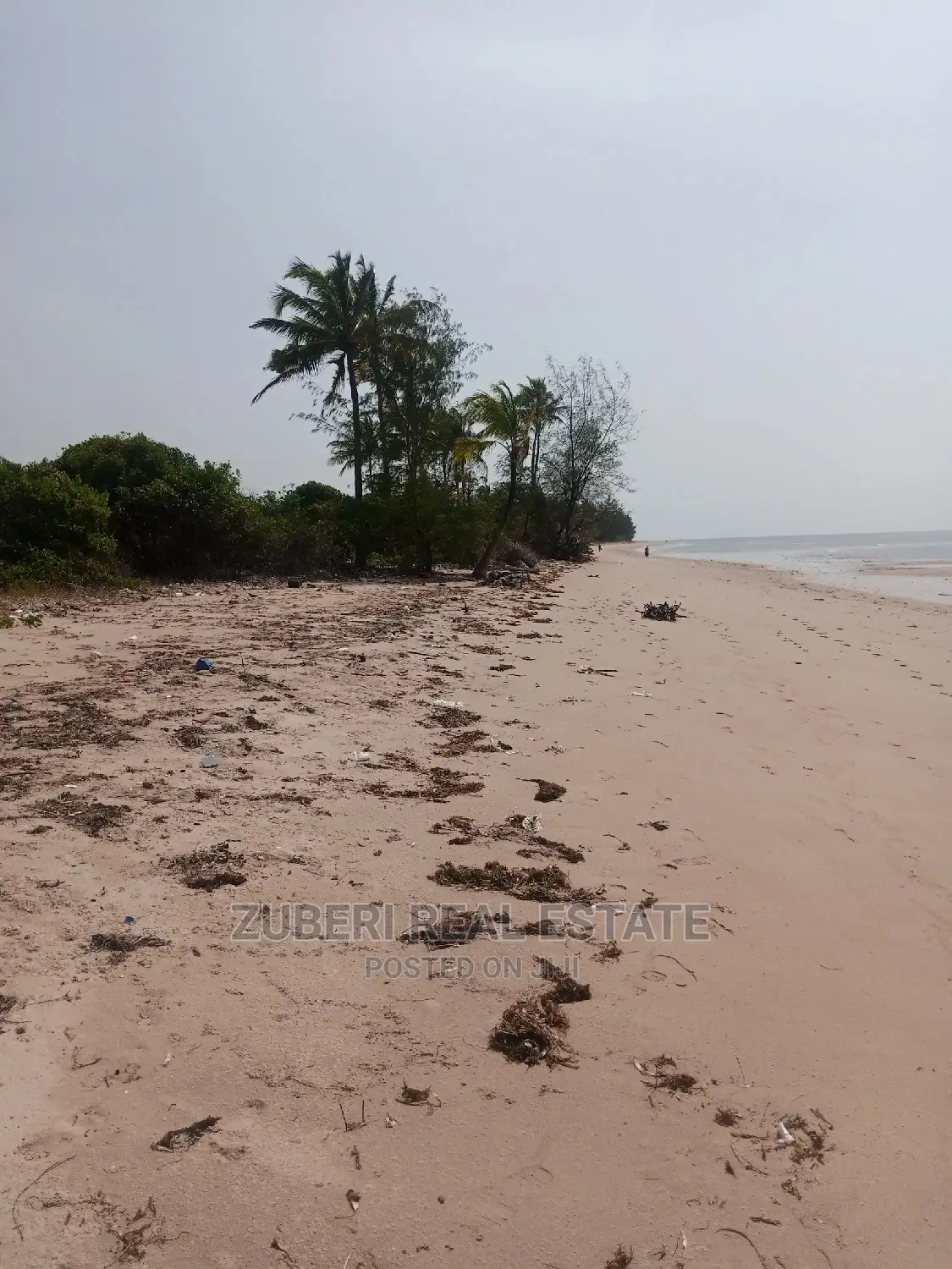 Mkwaja Beach Plot for Sale. in Mkwaja
