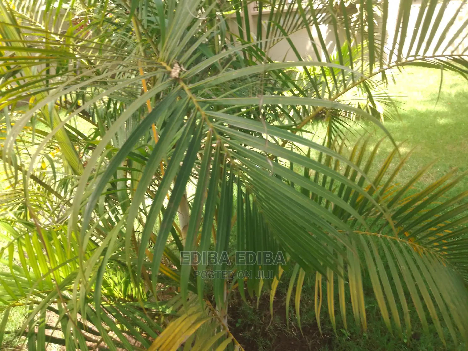 2800 Sqm Plot for Sale at Burka in Arusha