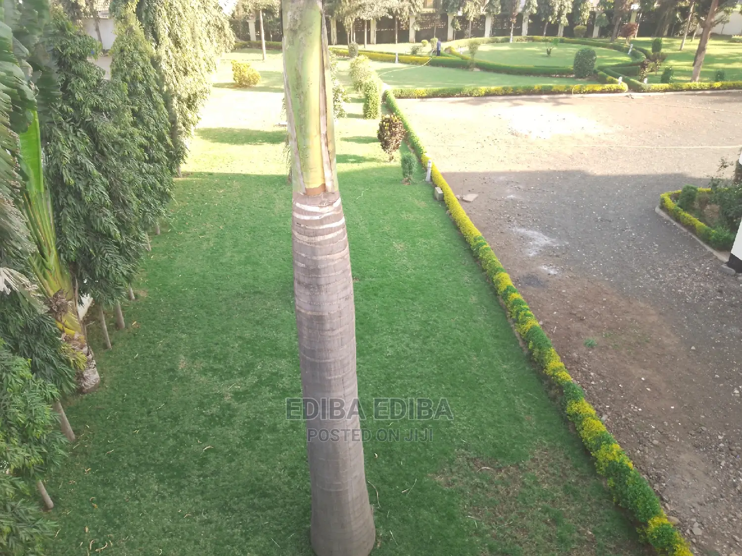 Business Space/Office for Rent at Njiro Nanenane in Arusha