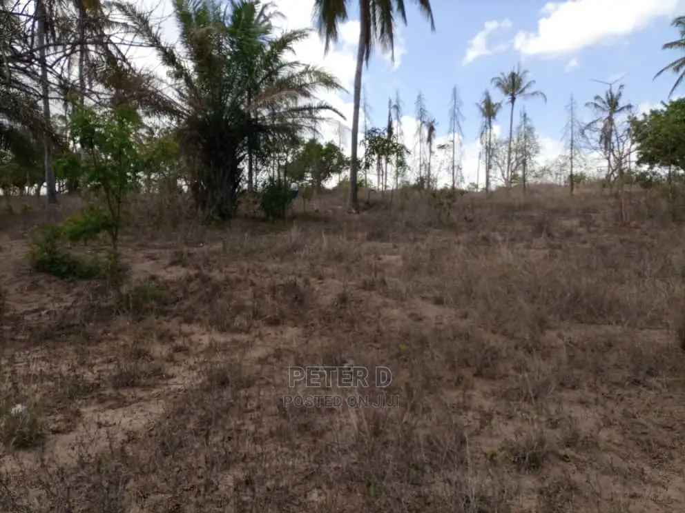 Kiwanja Tambarale in Goba