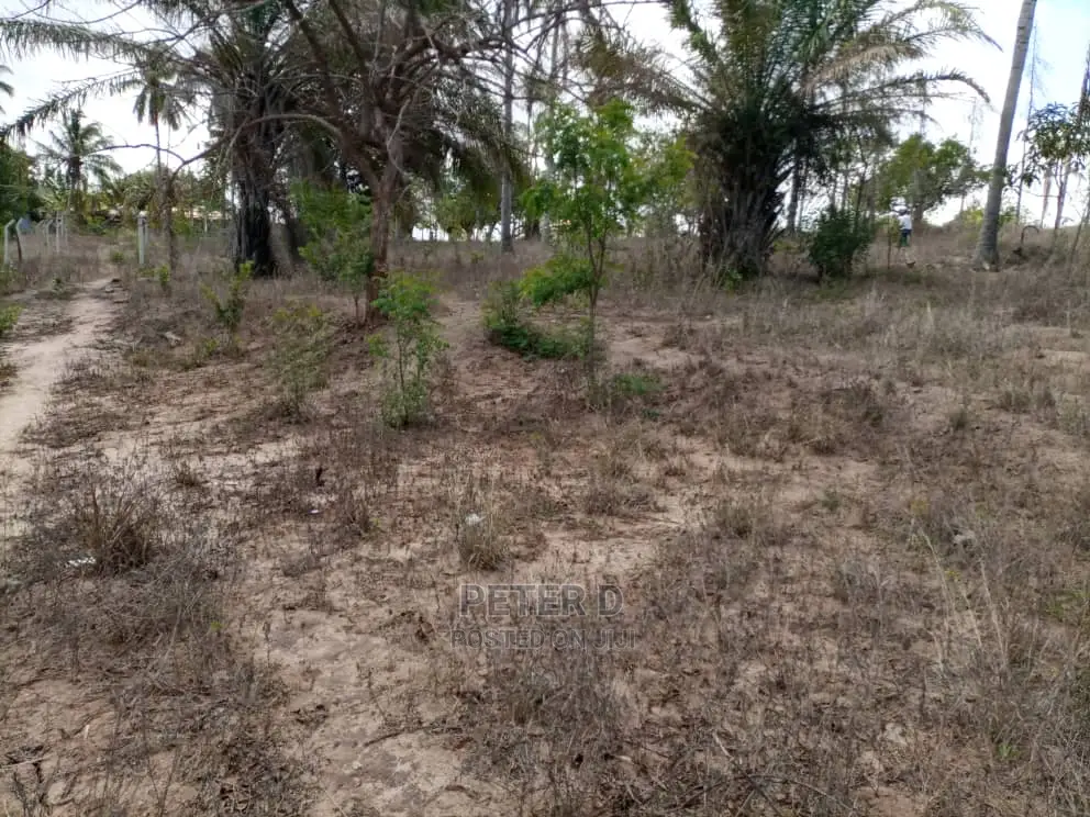 Kiwanja Tambarale in Goba