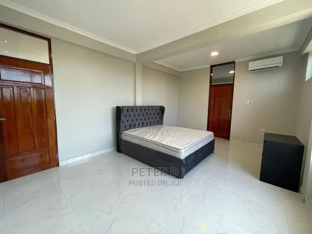 Furnished 1bdrm Apartment in Msasani for Rent in Msasani