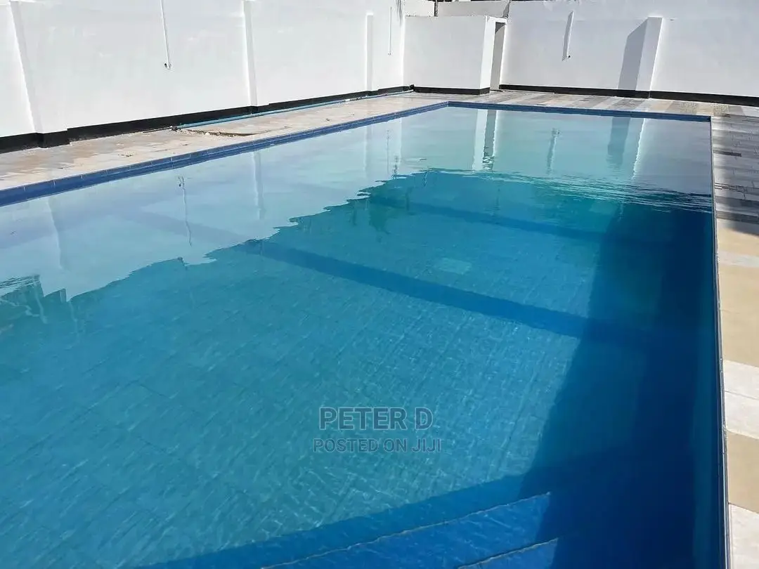 Furnished 1bdrm Apartment in Msasani for Rent in Msasani