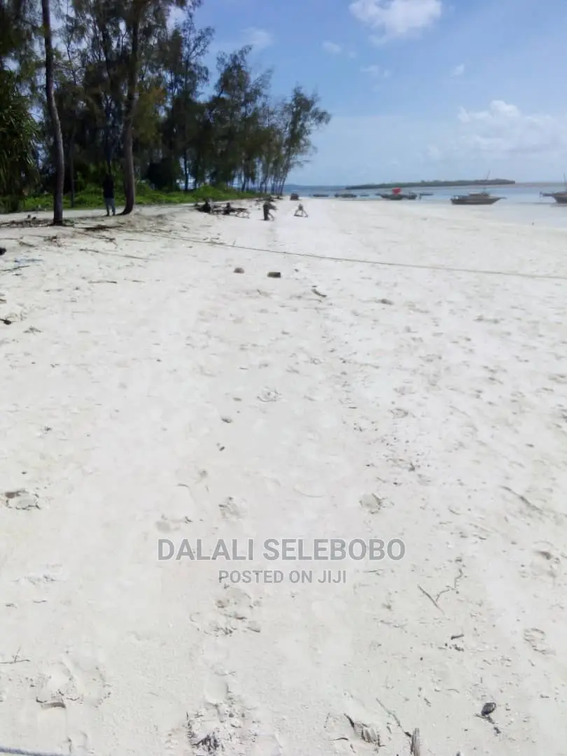 Beach Plote at Zanzibar Nungwi in Magharibi