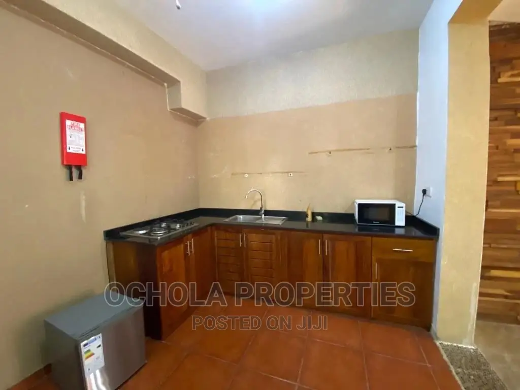 Furnished 1bdrm Apartment in Masaki for rent in Masaki