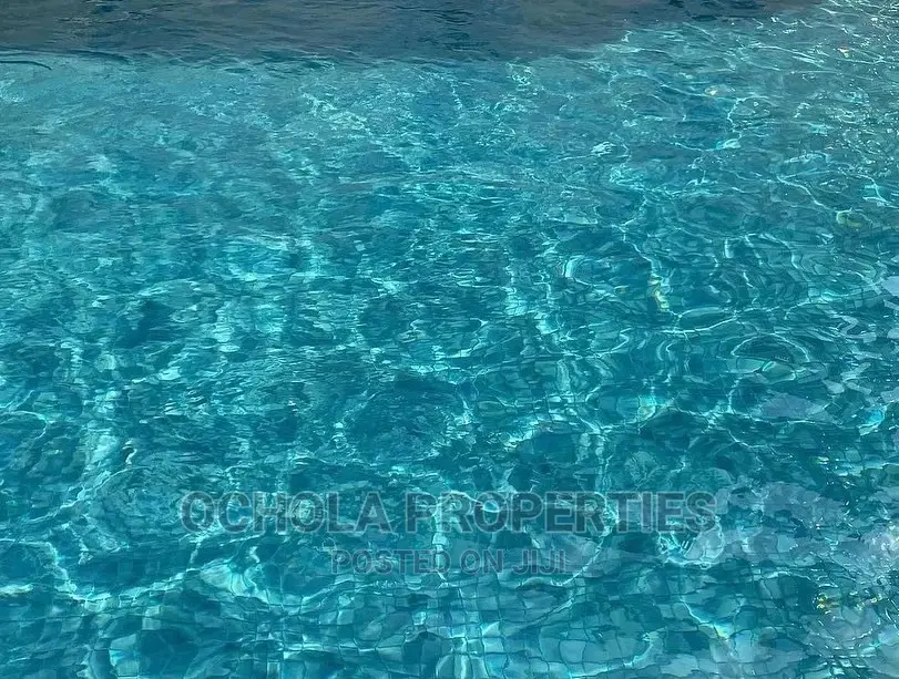 Furnished Studio Apartment in Masaki for Rent in Masaki