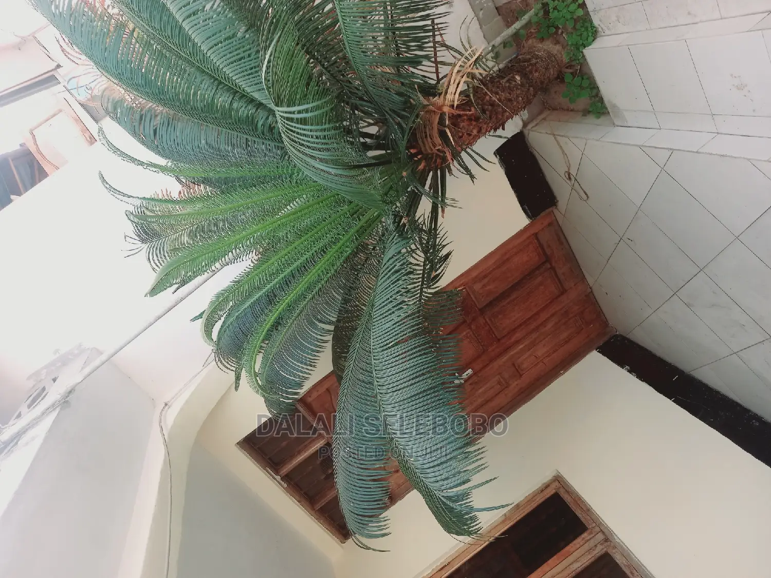 2bdrm Penthouse in Sinza Igesa for Rent in Sinza