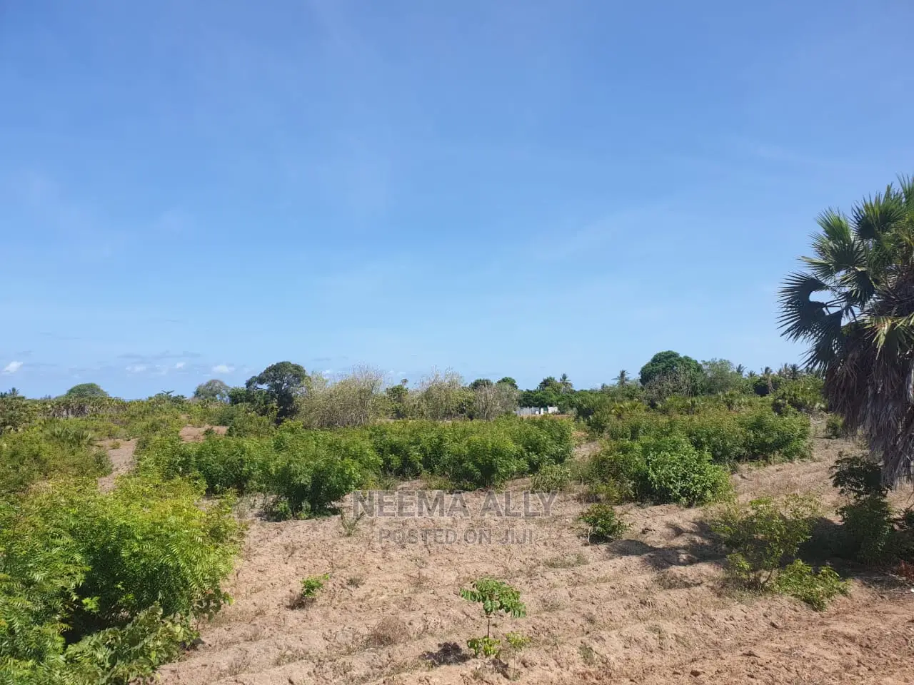 Viwanja Karibu Na Ufukwe Wa Bahari in Kigamboni