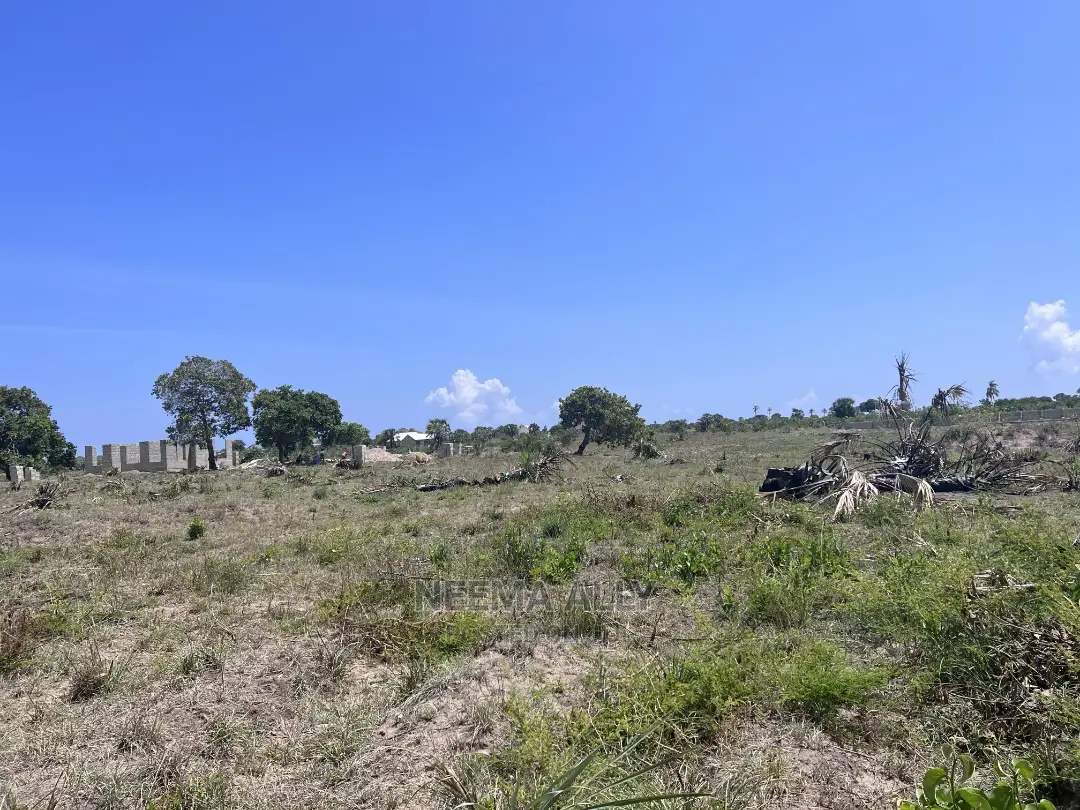 Mbutu Kichangani Beach Plots in Kigamboni
