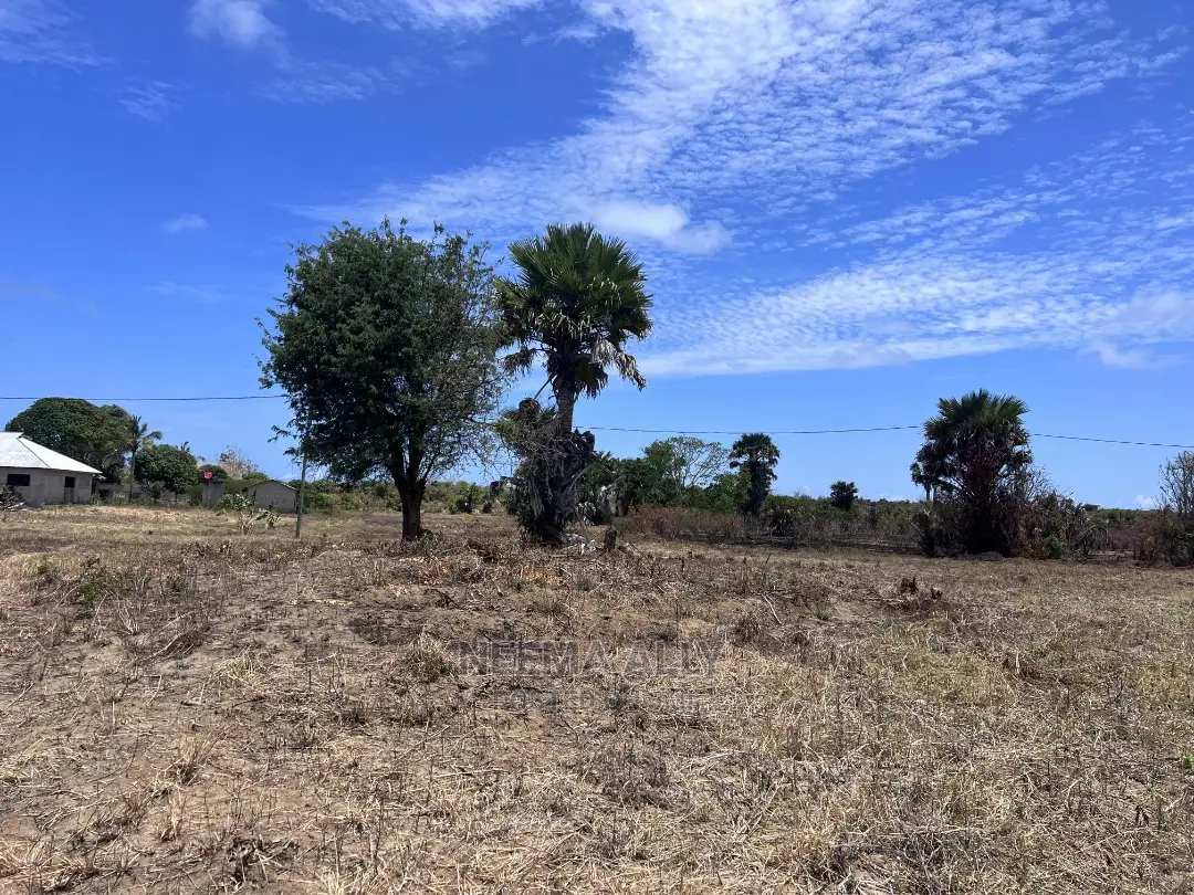 Mbutu Kichangani Beach Plots in Kigamboni