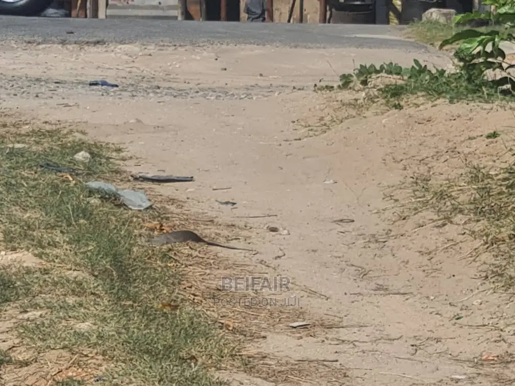 Kiwanja Kinauzwa Goba Lastanza in Goba
