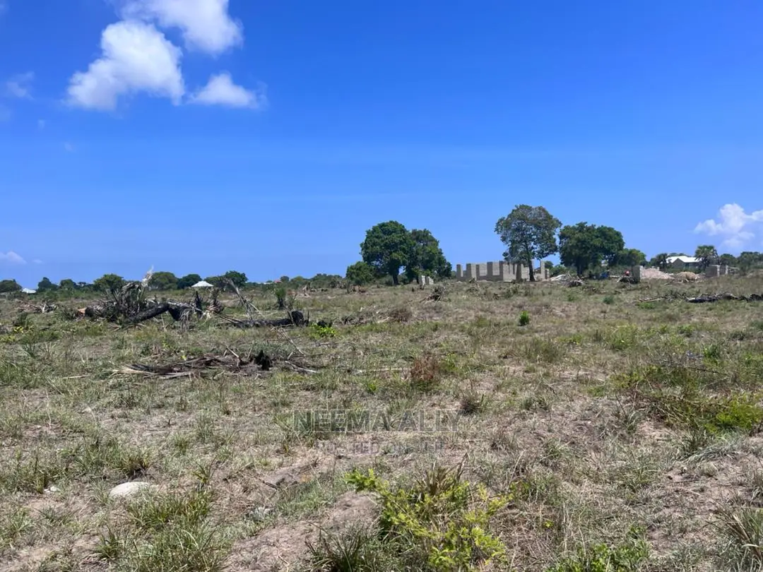 Viwanja Tambarare in Kigamboni