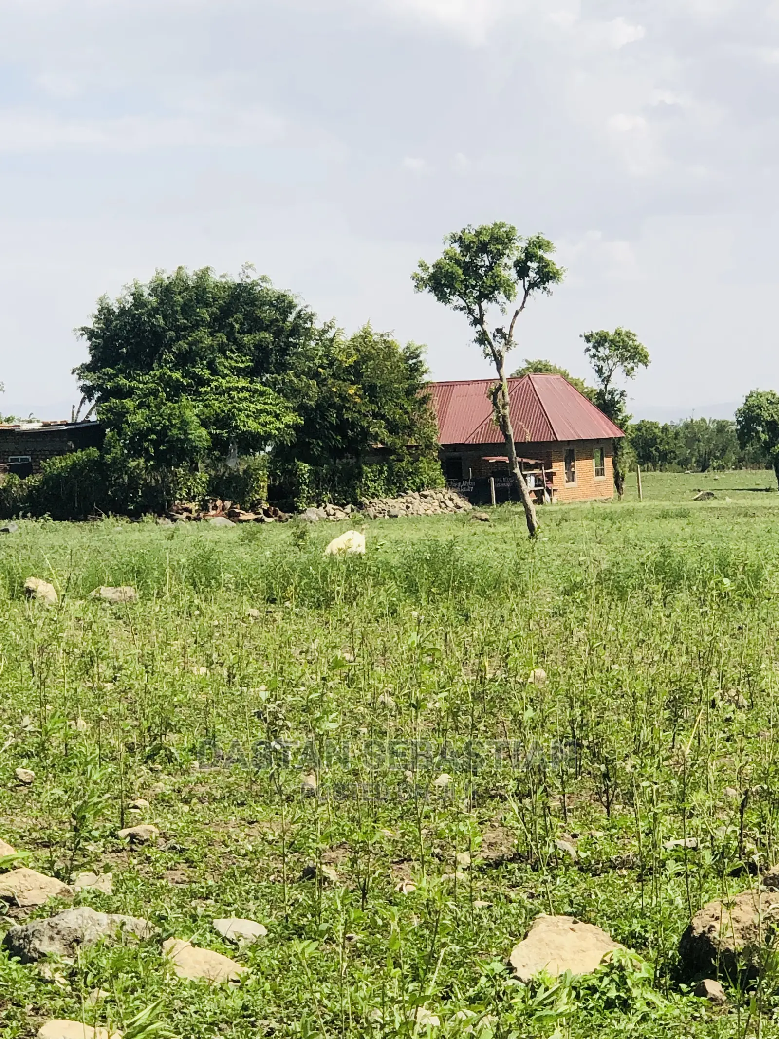 Tunakopesha Viwanja in Arusha