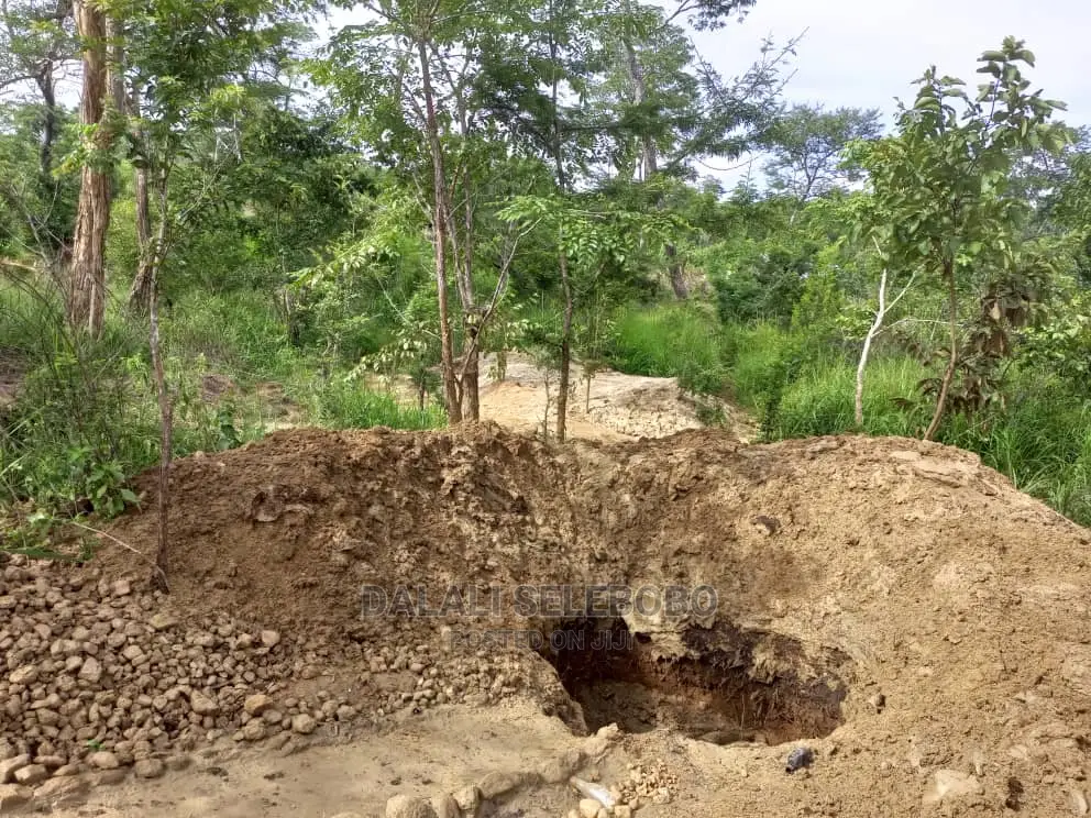 Mgodi Unauzwa Tanga in Kinondoni