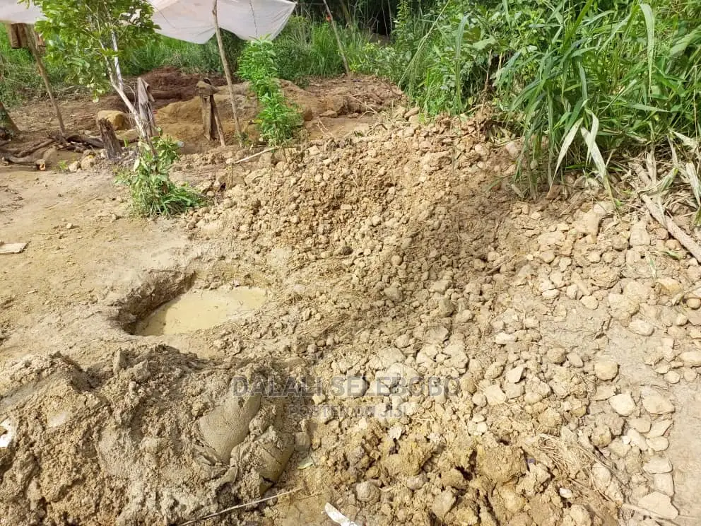Mgodi Unauzwa Tanga in Kinondoni