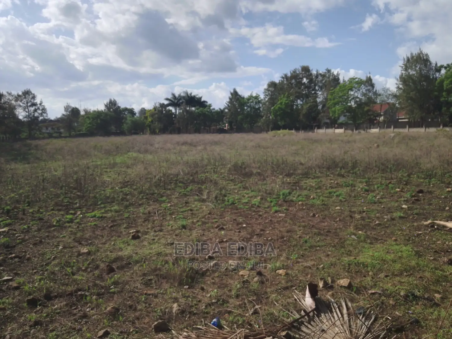 Half an Acre Plot for Sale at Kigamboni Dar in Kigamboni