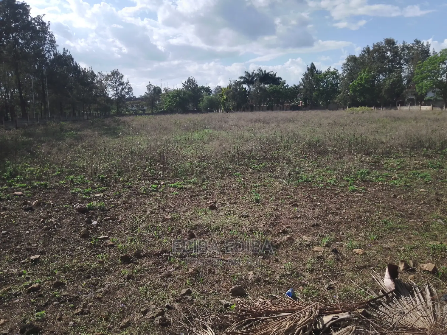 Half an Acre Plot for Sale at Kigamboni Dar in Kigamboni