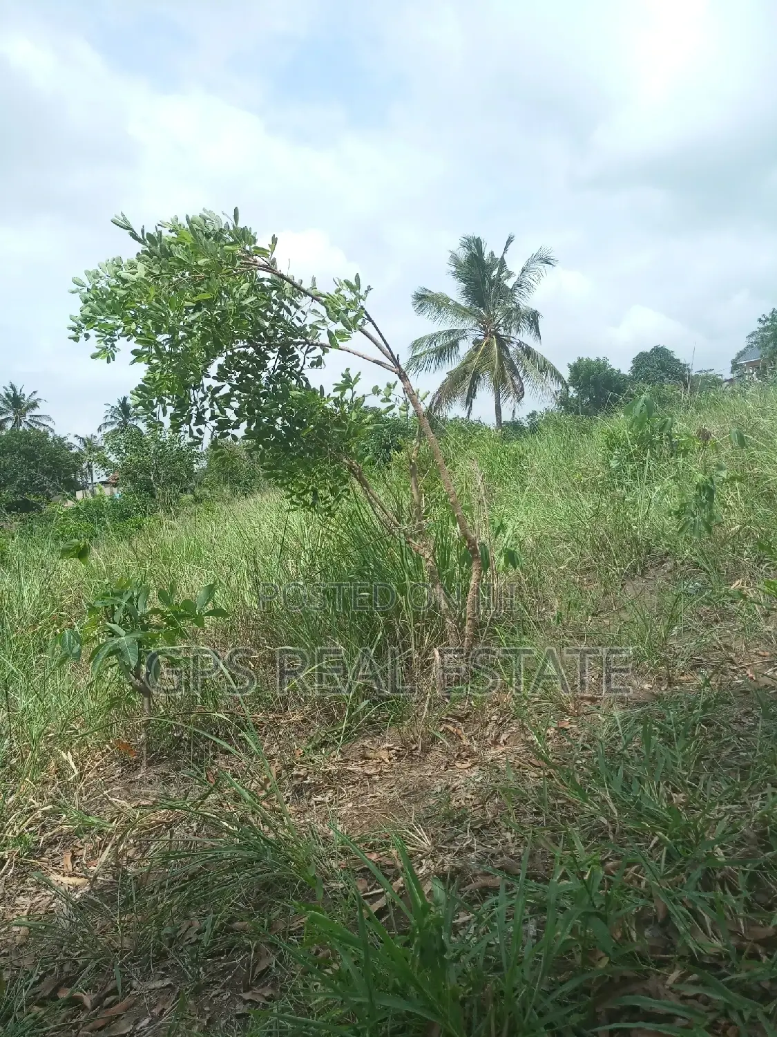 1 Acre for Sale at Pangani Kibaha. in Kibaha