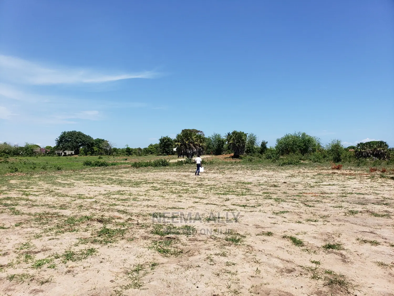 Kichangani Beach Plots in Kigamboni