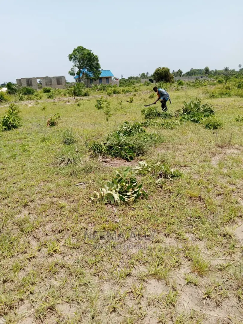 Lipa Cash Upate Hati Buree in Kigamboni