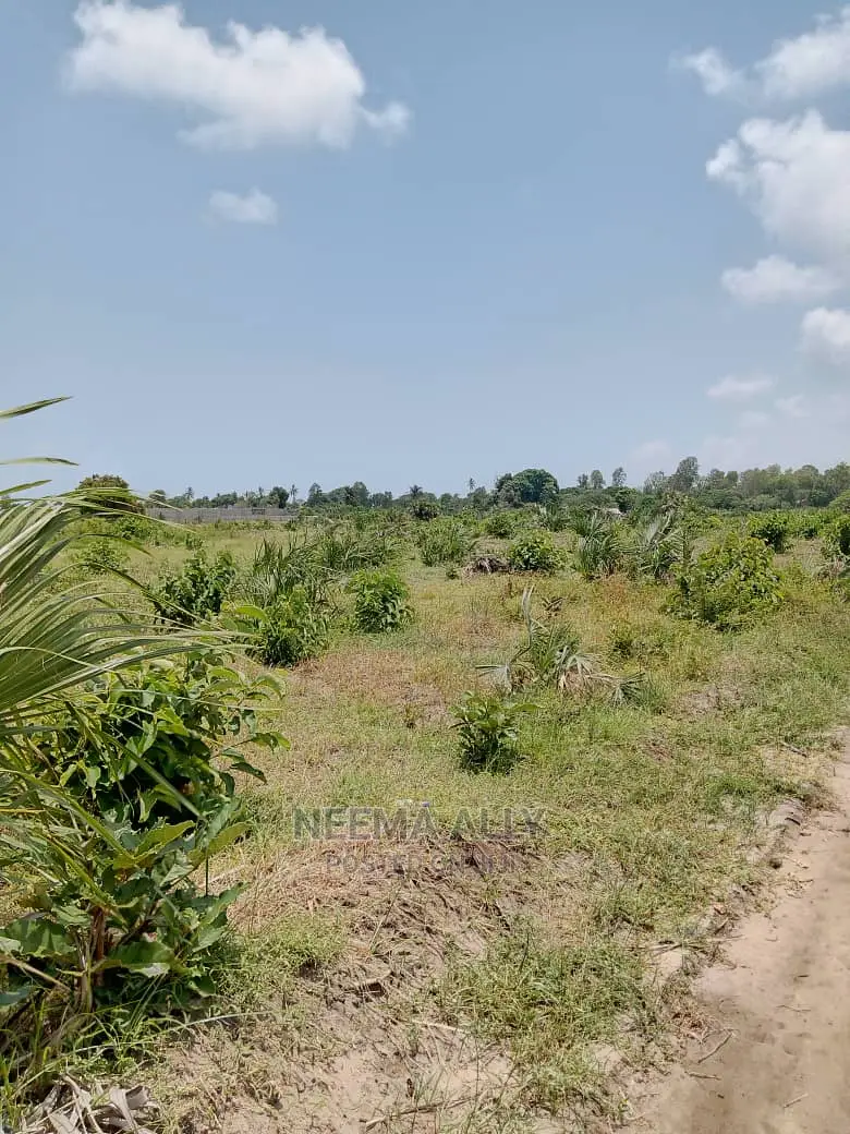Lipa Cash Upate Hati Buree in Kigamboni
