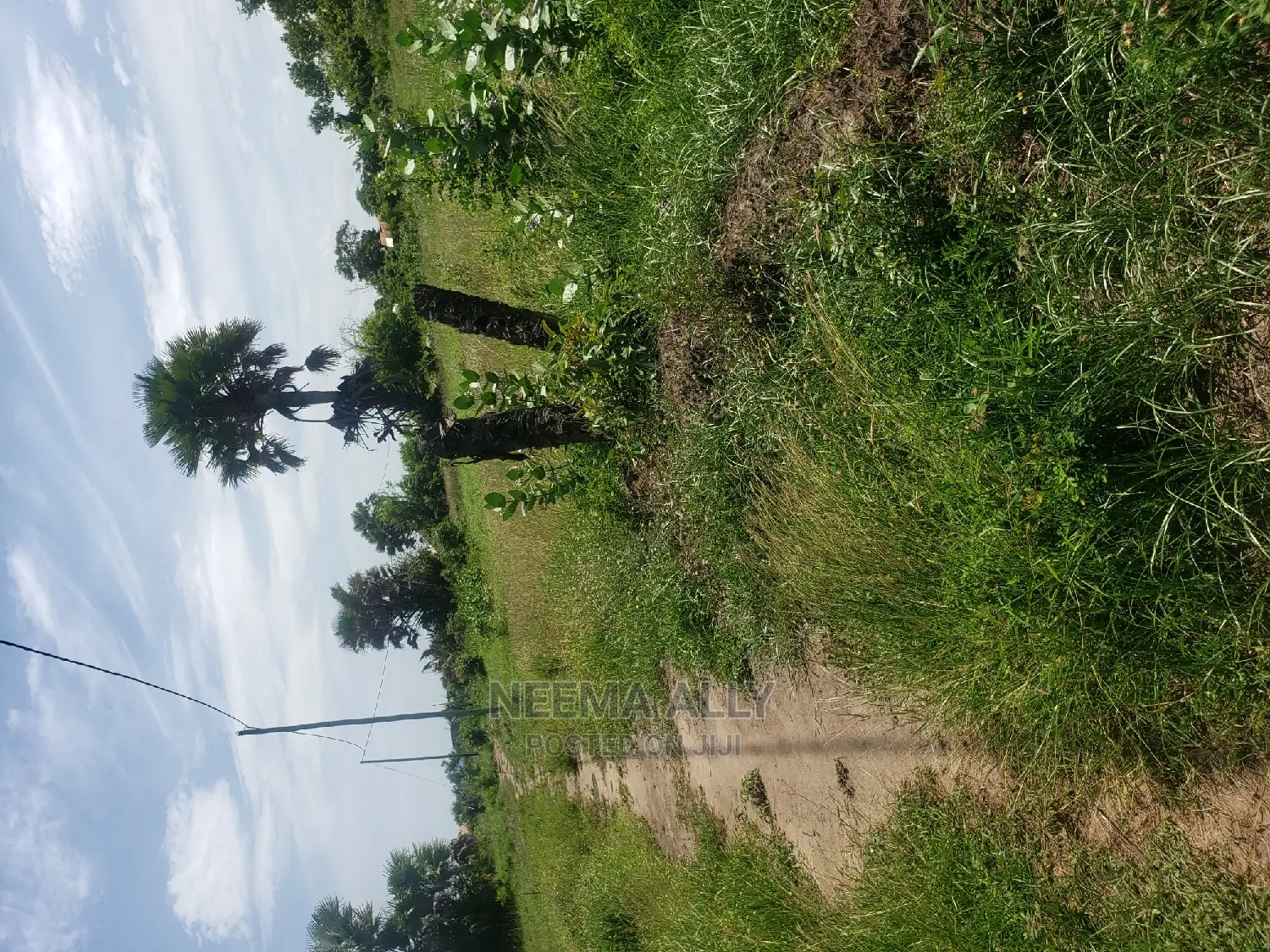 Kigamboni Kimbiji Karibu Na Jeshi in Kigamboni