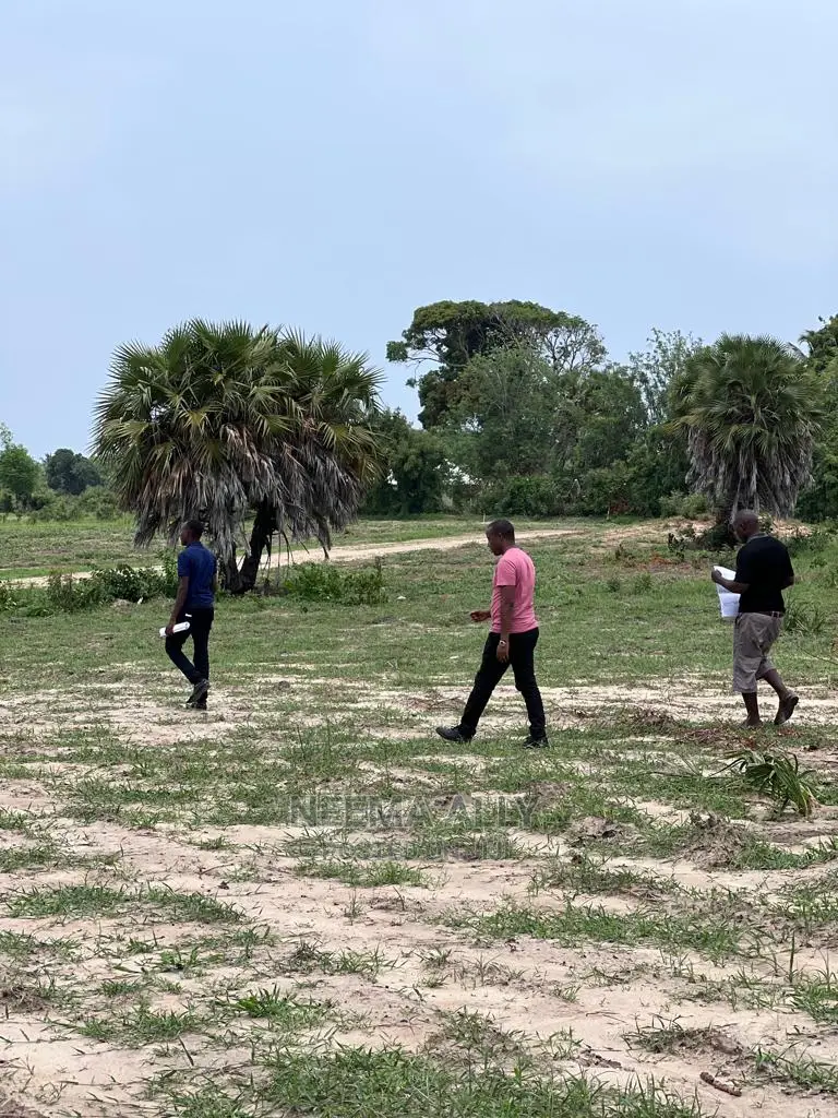 Mbutu McHikichini Kigamboni in Kigamboni