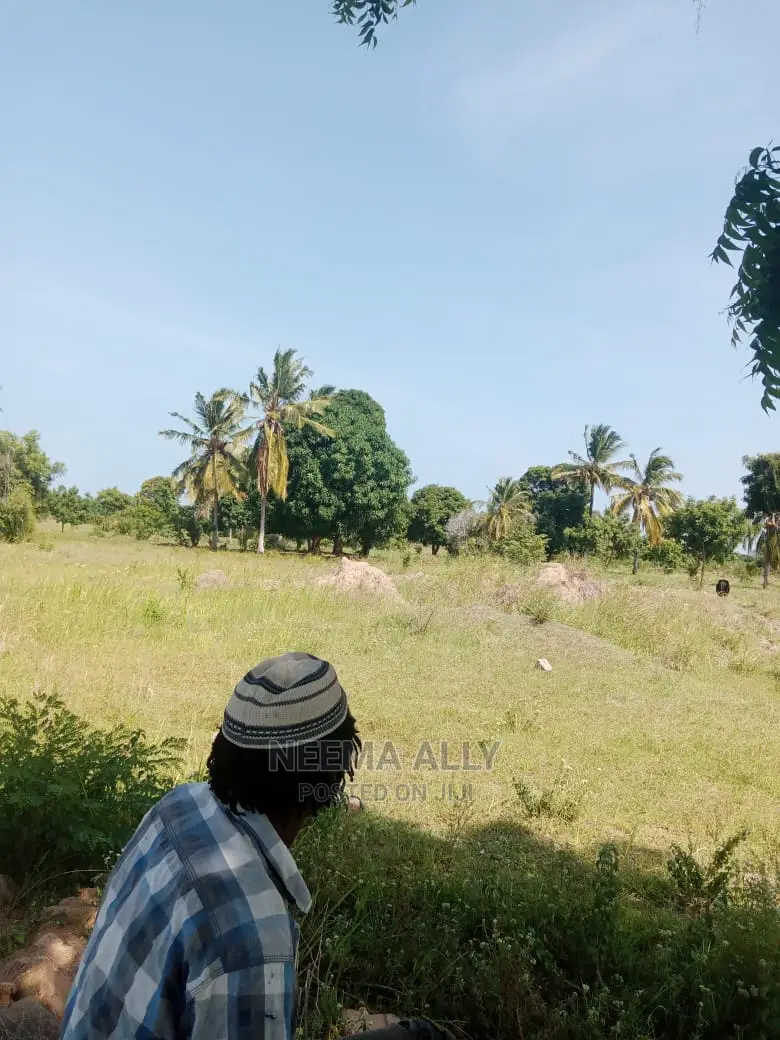 Kigamboni- McHikichini in Kigamboni