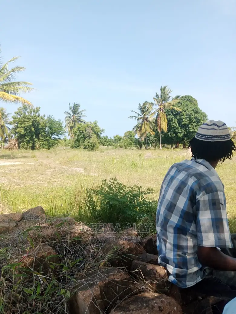 Kigamboni- McHikichini in Kigamboni