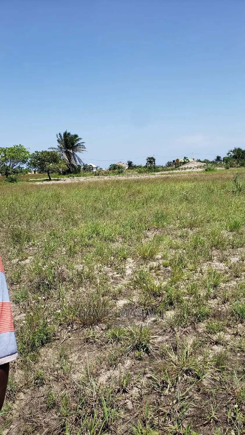4400 Sq M Plot For Sale In Mitwero Lindi in Lindi