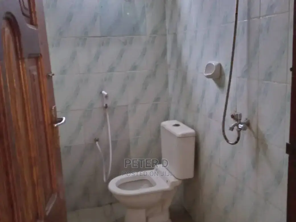 1bdrm Apartment in Kariakoo for rent in Kariakoo
