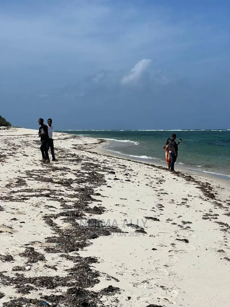 Viwanja Vya Mbutu Karibu Na Bahari in Kigamboni