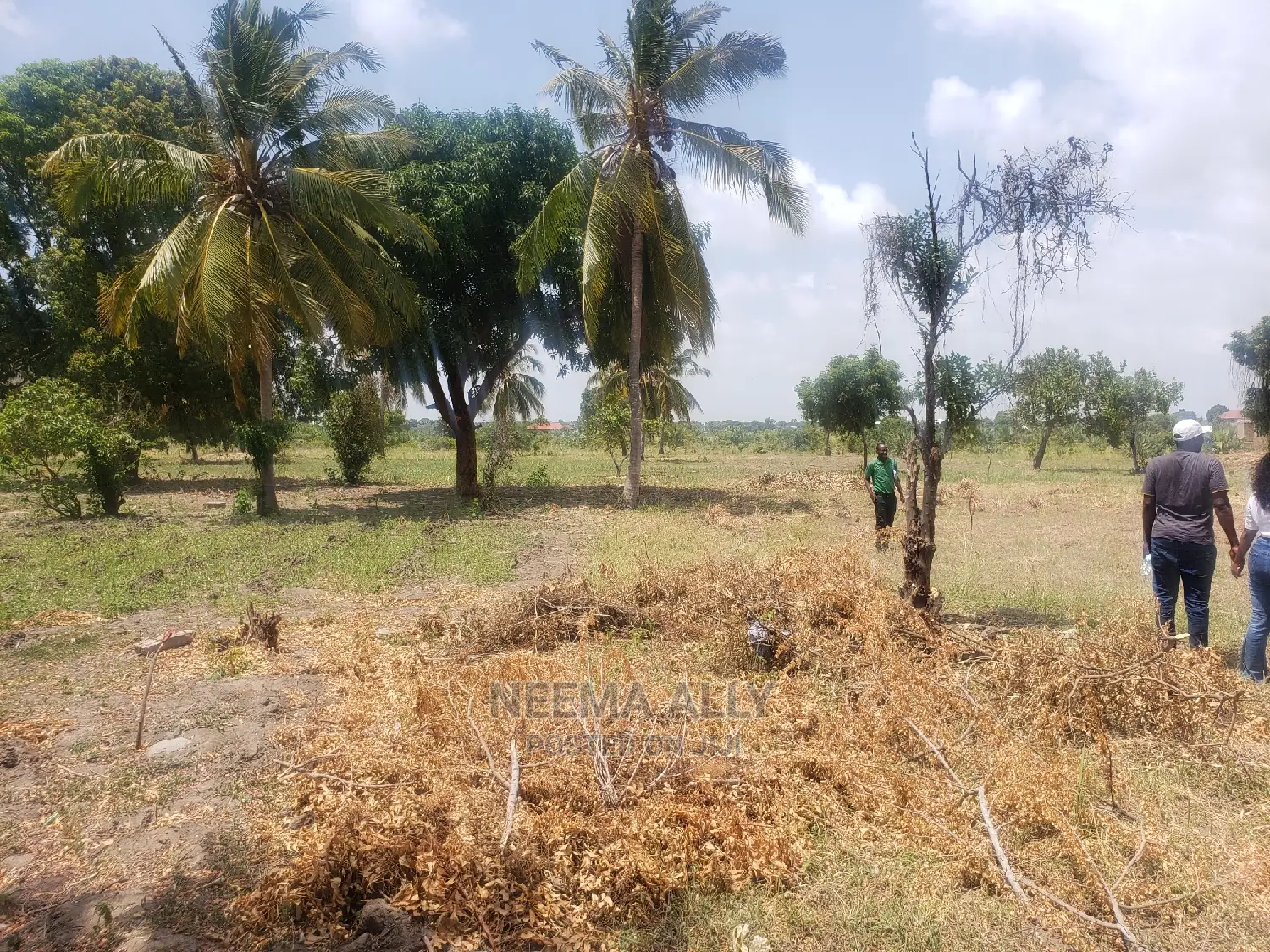 Viwanja Katikati Ya Makazi Ya Watu in Kigamboni