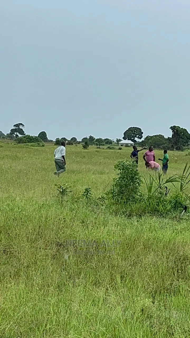 Viwanja Bei Ya Offa Ya Mwezi Mmoja in Kigamboni