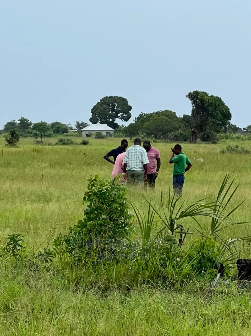 Viwanja Bei Ya Offa Ya Mwezi Mmoja in Kigamboni
