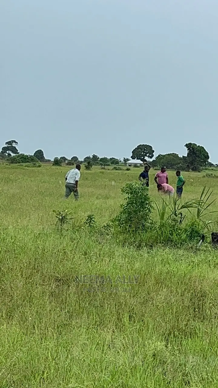 Viwanja Bei Ya Offa Ya Mwezi Mmoja in Kigamboni