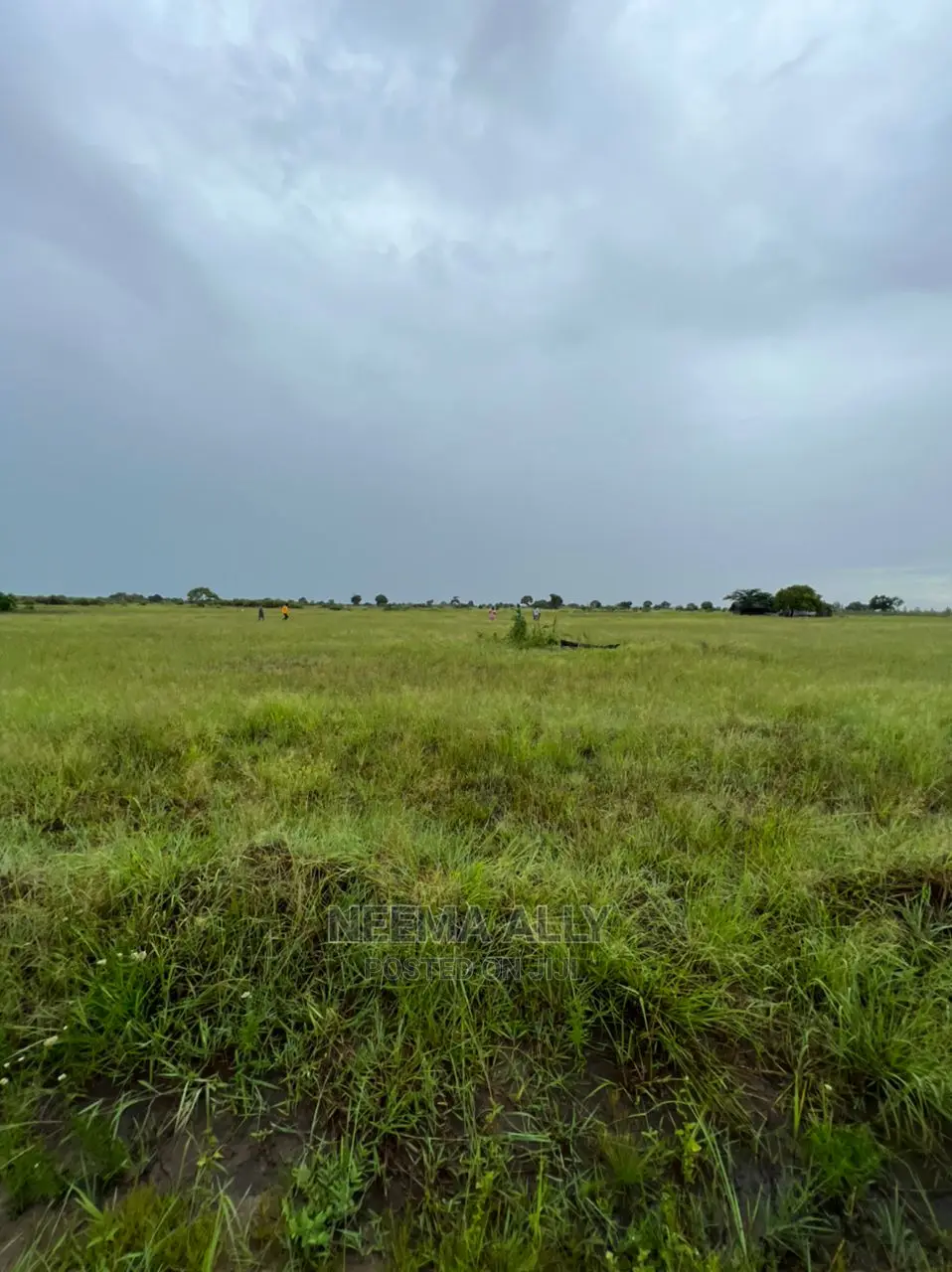 Viwanja Vilivyopimwa Kwa Bei Nafuu in Kigamboni