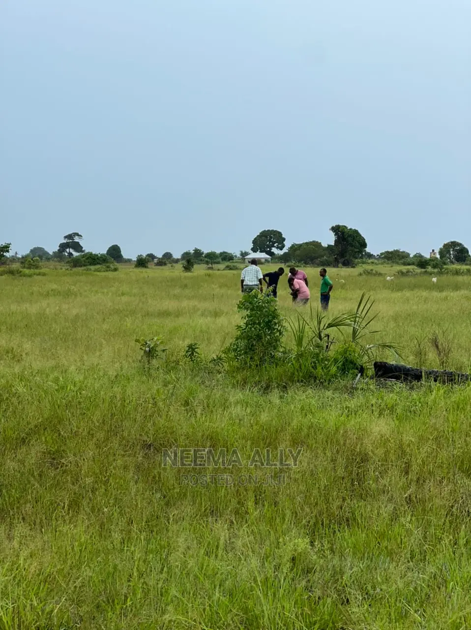 Viwanja Vilivyopimwa Kwa Bei Nafuu in Kigamboni