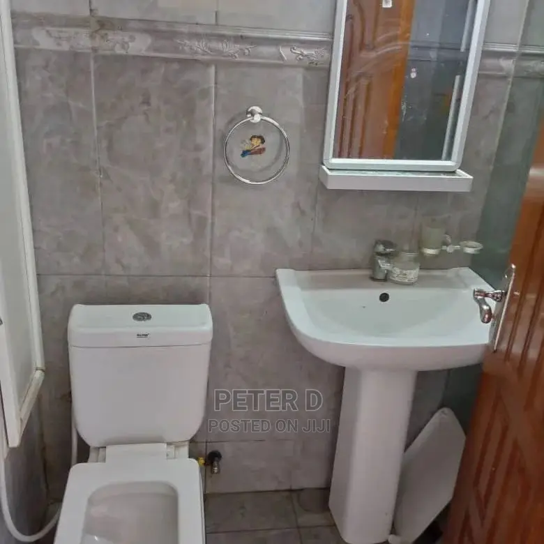 3bdrm Apartment in Kariakoo for rent in Kariakoo
