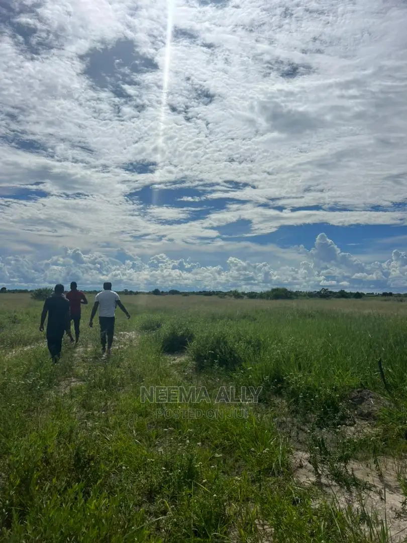 Viwanja Vya Mbutu Karibu Bahari in Kigamboni
