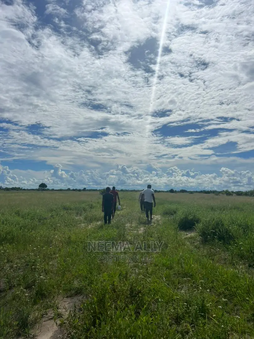 Viwanja Vya Mbutu Karibu Bahari in Kigamboni