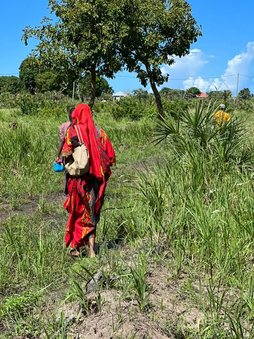 Buyuni Mji Unakuwa Kwa Kasi in Kigamboni