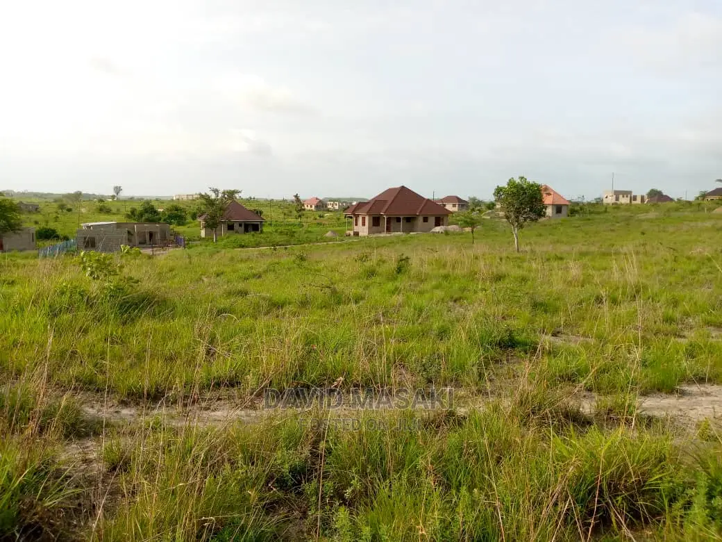 2 Lindi (Mitwero) Plots for Sale in Lindi