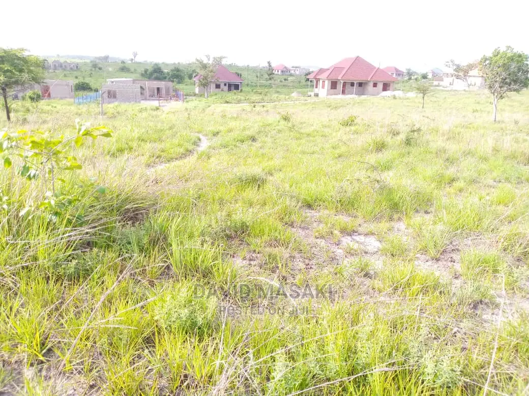 2 Lindi (Mitwero) Plots for Sale in Lindi