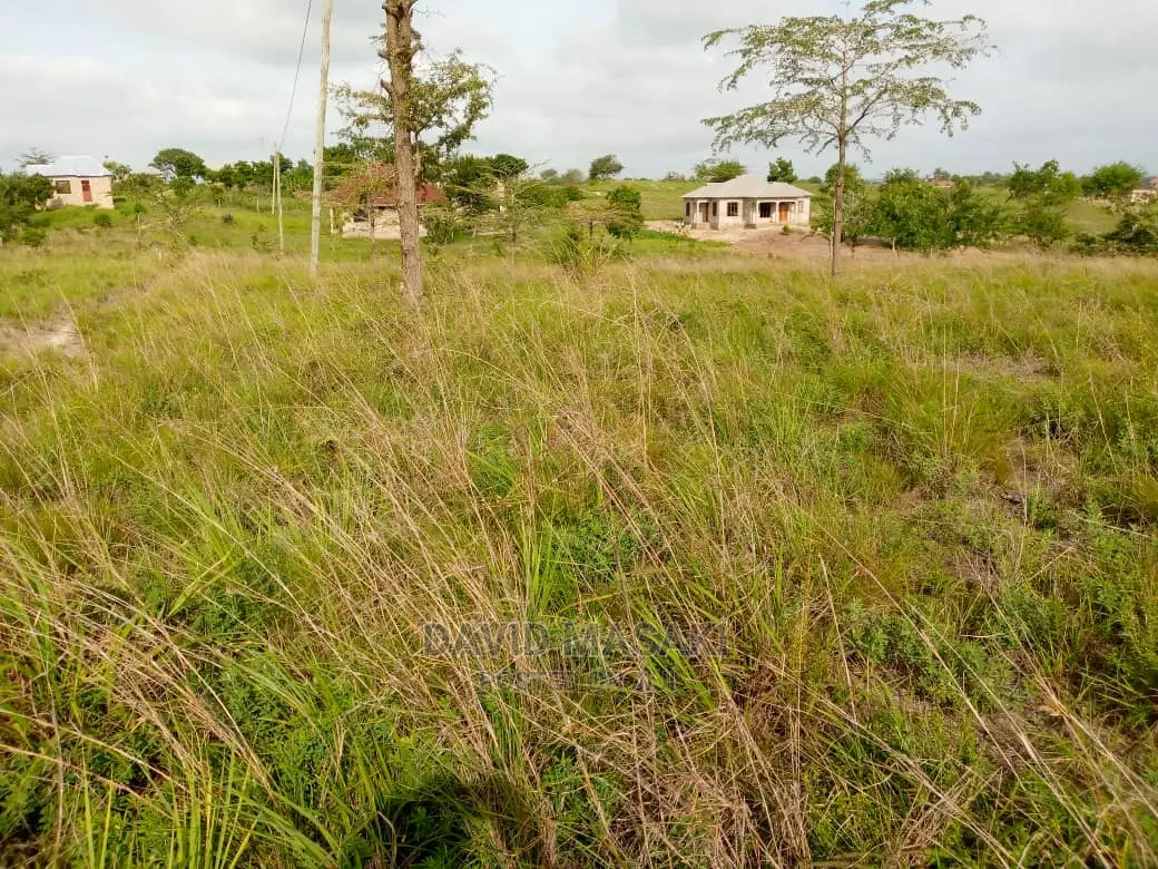 2 Lindi (Mitwero) Plots for Sale in Lindi